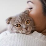 PetCat PetCat
